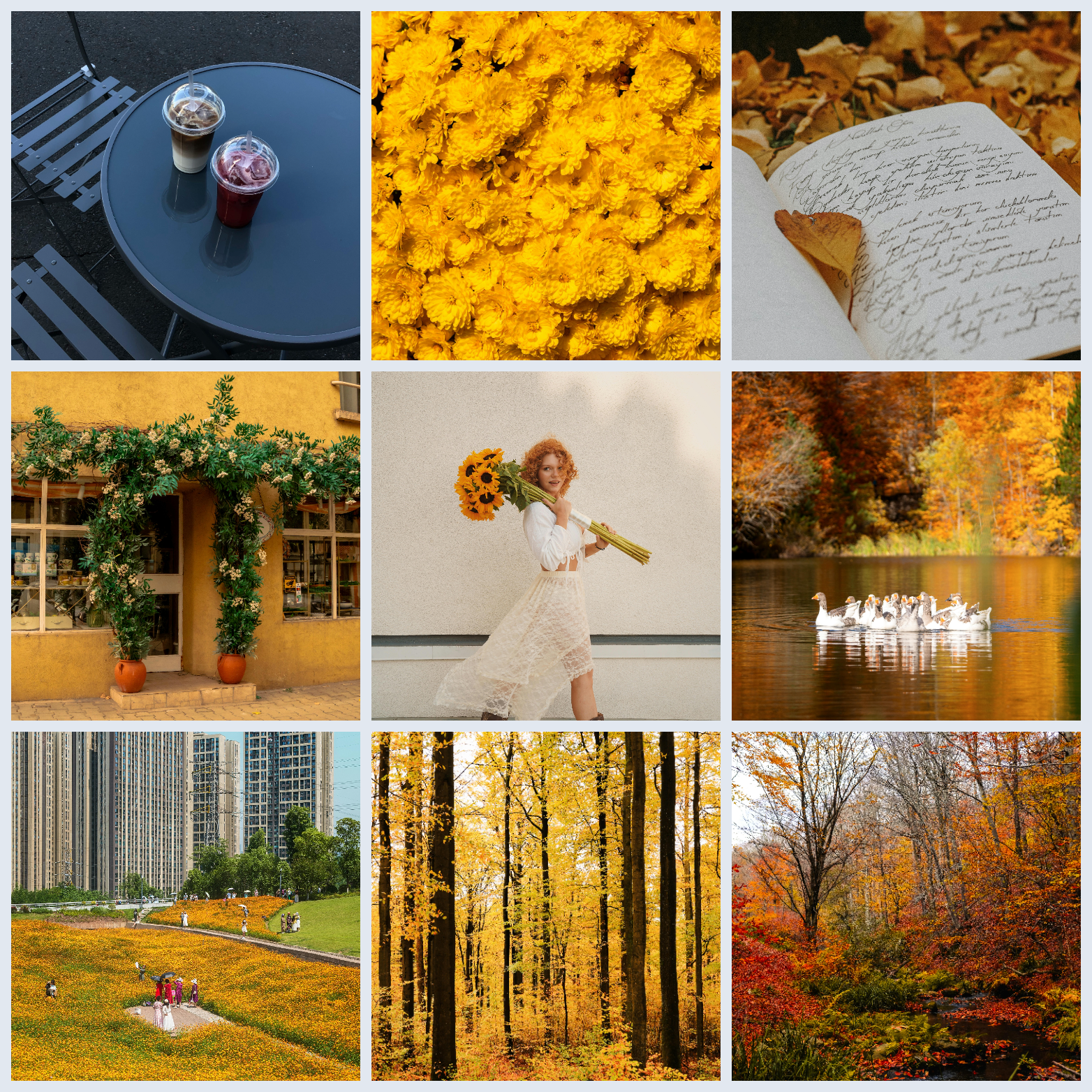 Photo grid example 1