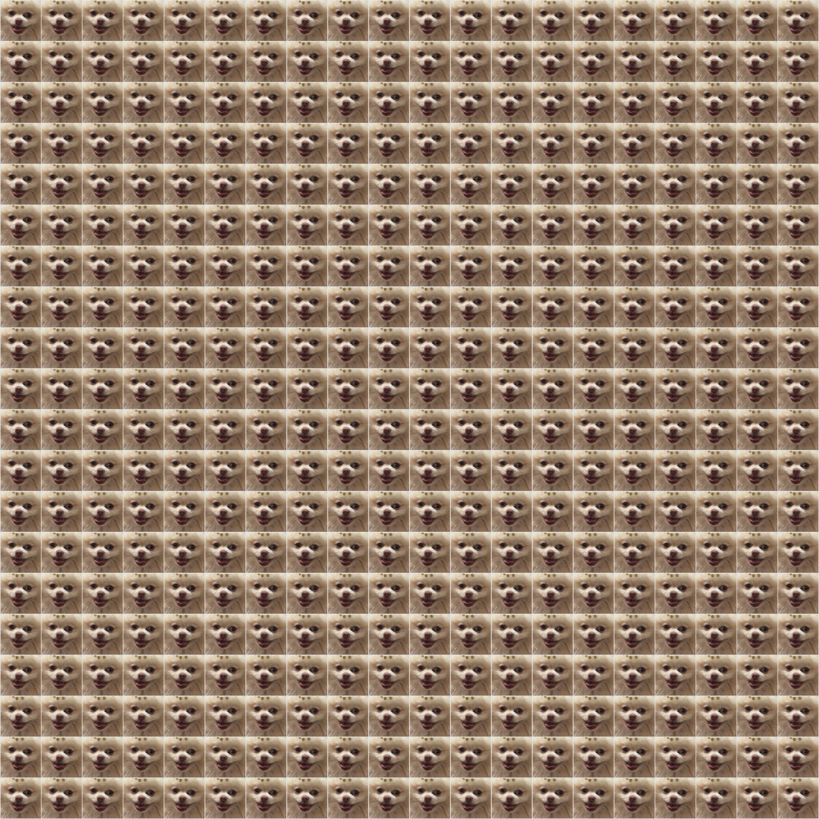 Photo grid example 3